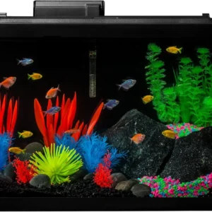 20 Gallon Aquarium Kit with LED Lights, Decor Heater and Filter for Home Fish Tank Setup