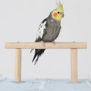 Durable Wooden Bird Perch Stand Parrot Toys For Standing Playing Bird Supplies