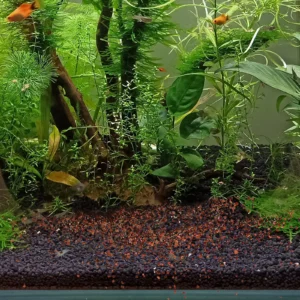 Natural Aquarium Sand Delicate Multi-Color Crystal Gravel Decoration DIY Flowerpot Stones Fish Tank Decorations Garden Pond