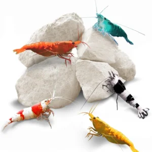 Calcium Magnesium Rocks for Crayfish, Hermit Crab, Snails - Aquarium Decor for Shrimps and Crustaceans