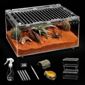 XLarge Reptile Terrarium KitEscape Proof Tarantula Enclosure PC Starter Hermit Crab Tank Spider Habitat for Praying Mantis Cage
