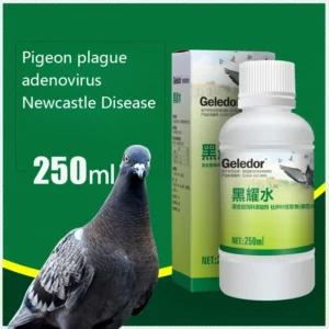 Pigeon nutritional supplement 250ml vomiting diarrhea green stool head and face swelling water accumulation of food