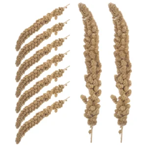 Parrot Snacks Bird Food Small Millet Sprays Treats Cockatiel Yellow Cockatiels Supplies for Parakeets Budgies